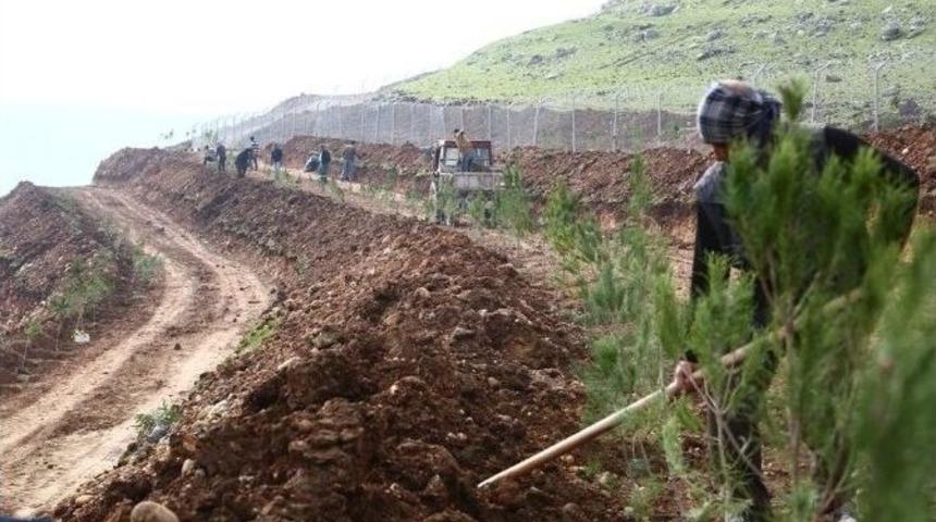 Cizre Belediyesi 18 Bin Metrekare Alan &Uuml;zerinde Yeşil Alan &Ccedil;alışması Başlattı