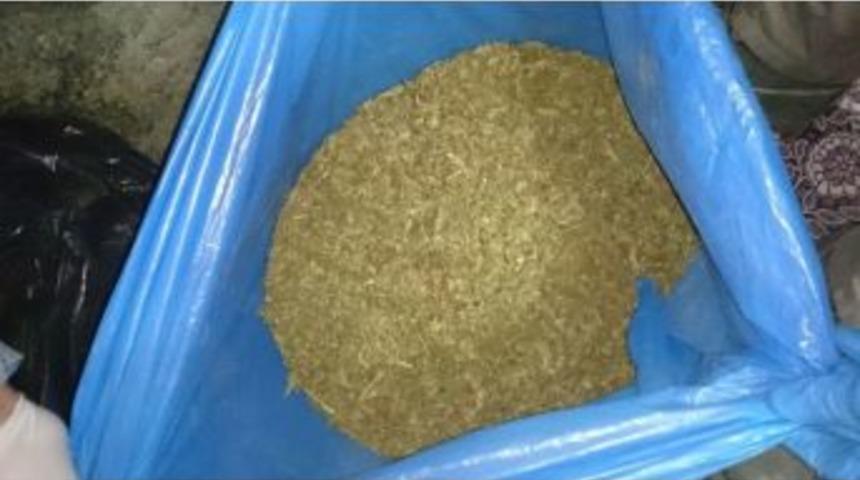 Gaziantep&rsquo;te 2 Bu&ccedil;uk Kilo Esrar Maddesi Ele Ge&ccedil;irildi