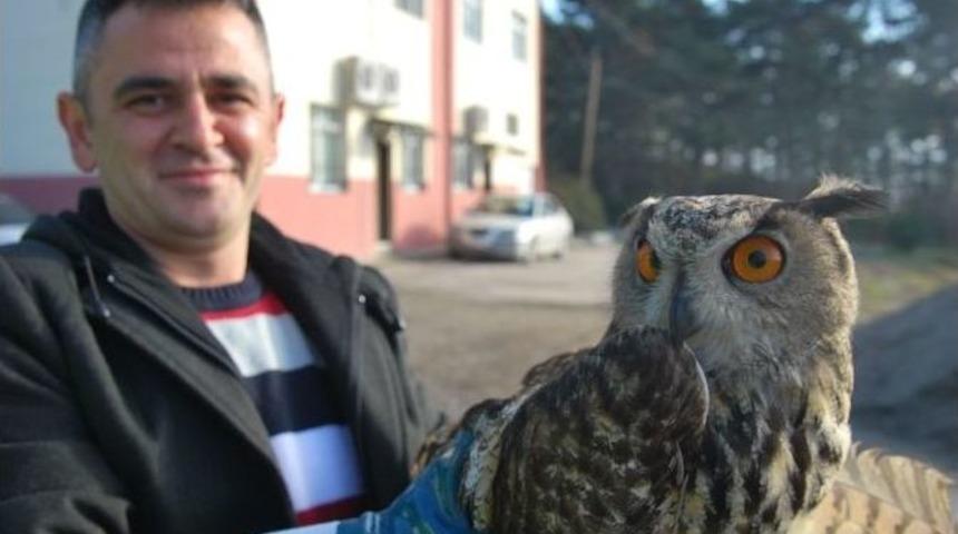 Tedavisi Yapılan Baykuşun Yeni Evi Samsun Hayvanat Bah&ccedil;esi