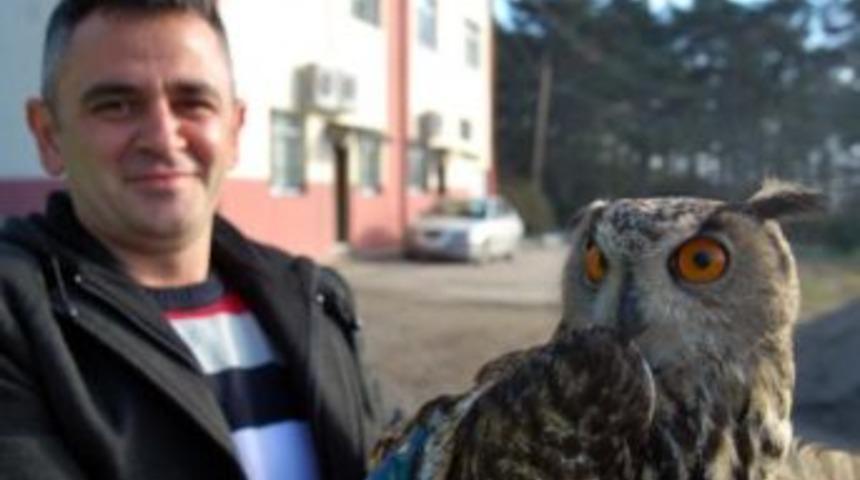 Köylülerin Yaralı Halde Bulduğu Puhu Kuşu Tedavi Edildi