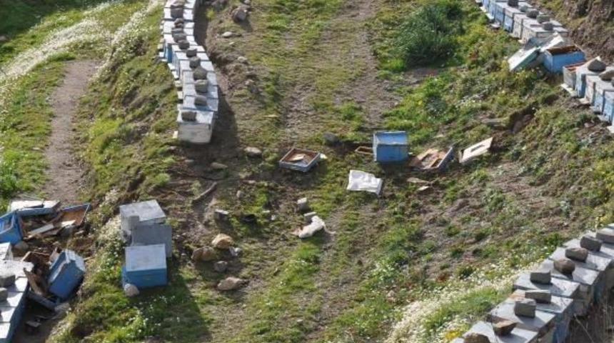 Babanın Oğlu Ile Kesişen Acı Kaderi