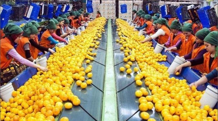 Egeliler, Gıda Sekt&ouml;r&uuml;nde Ar-ge Ve İnovasyona &Ouml;nem Veriyor