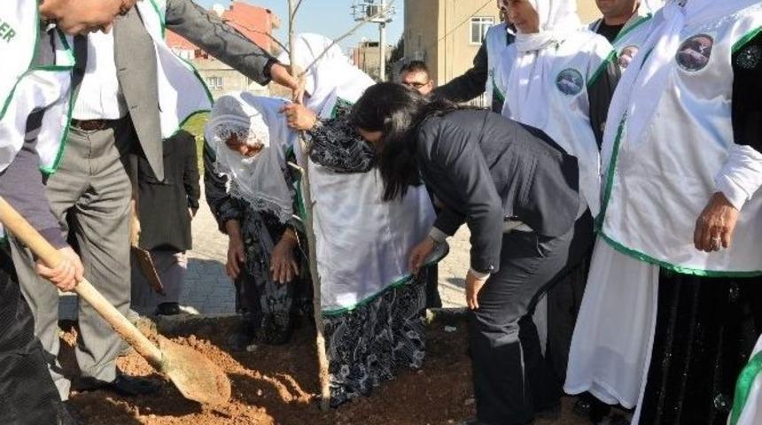 Cudi-der&rsquo;den Fidan Dikme Şenliği