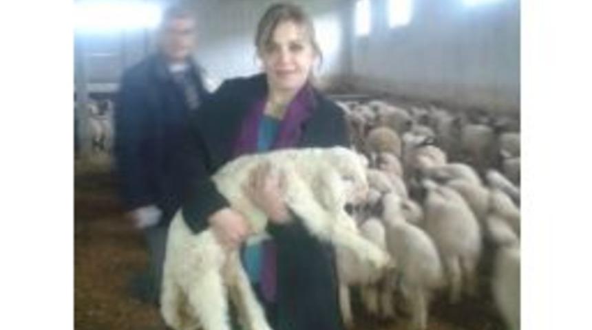 Hayvancılığa Destek S&uuml;r&uuml;yor