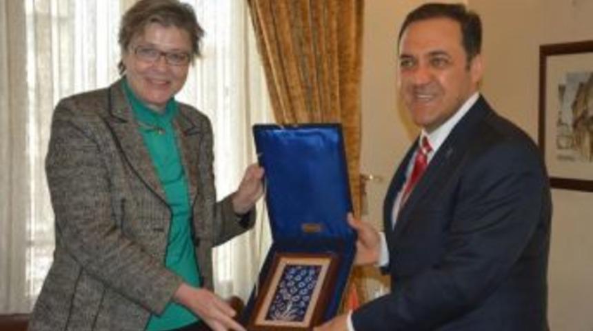 Arazide Leşi Bulunan 84 K&ouml;pek, Taşınırken Ara&ccedil;ta Boğulmuş