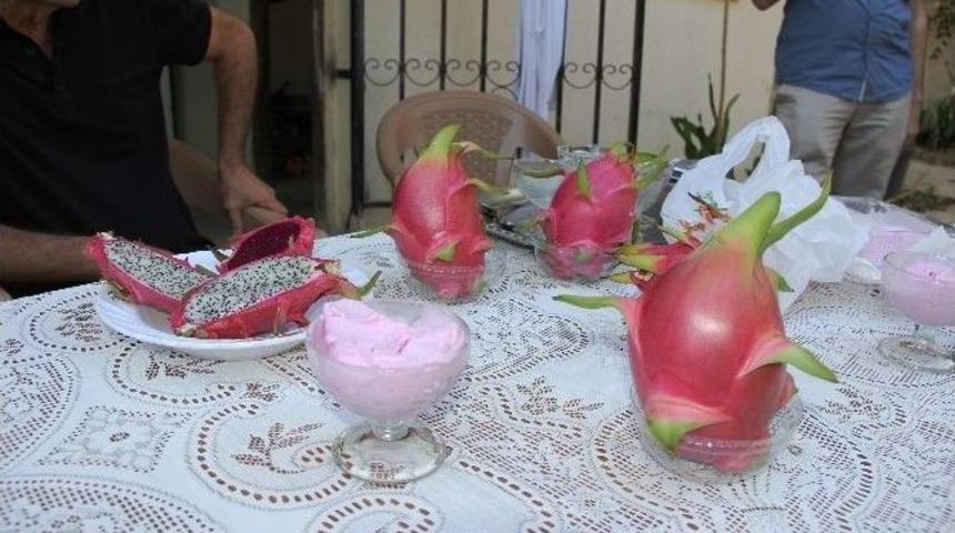 Ejder Meyvesi Toroslar&rsquo;da