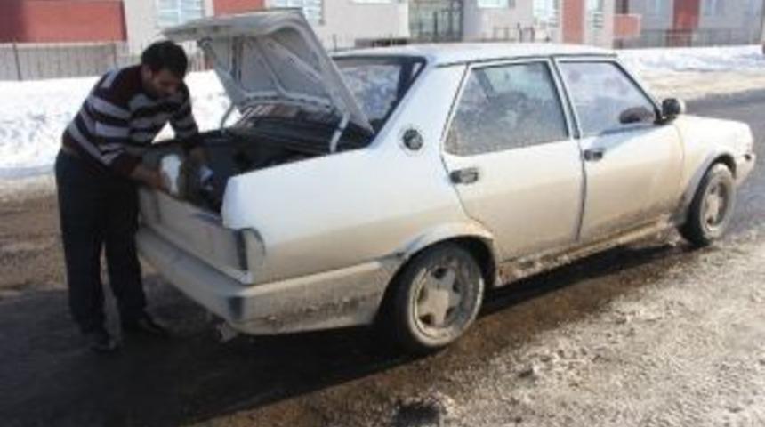 Otomobilin Bagajında Buzağı Telef Oldu İddiası