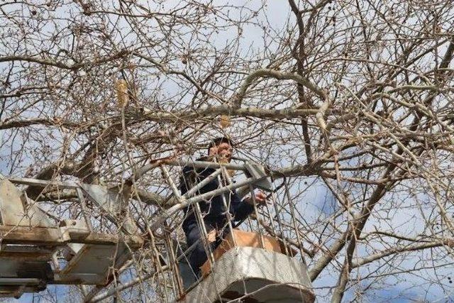 Tekirdağ’da Kuşlara Yem Bırakıldı