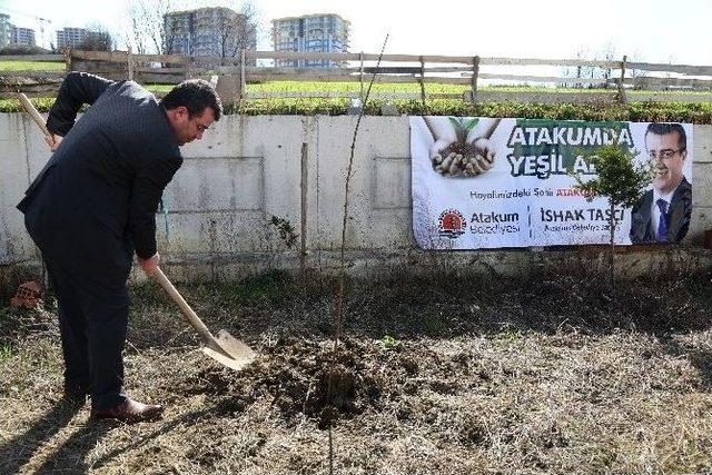 Taşçı’dan Yeşil Adım