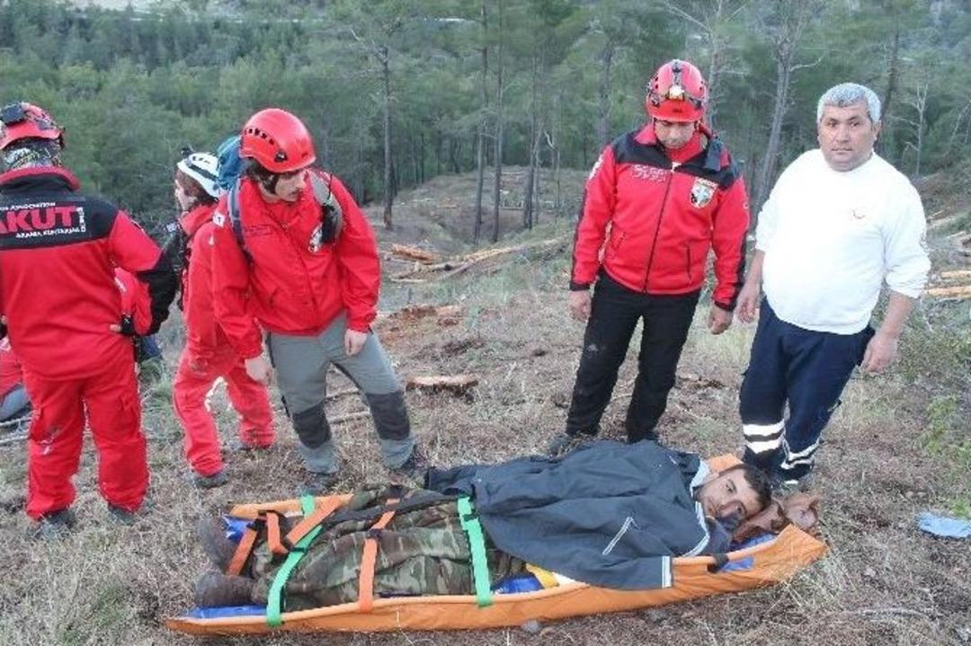 Mantar Ararken, &Uuml;zerine Tomruk D&uuml;şt&uuml;