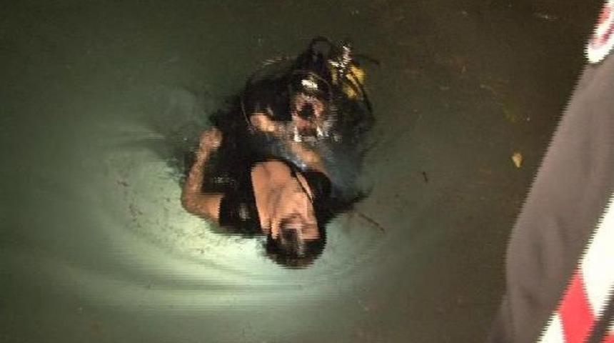 Otomobil G&ouml;le U&ccedil;tu: 1 &Ouml;l&uuml;, 3 Yaralı