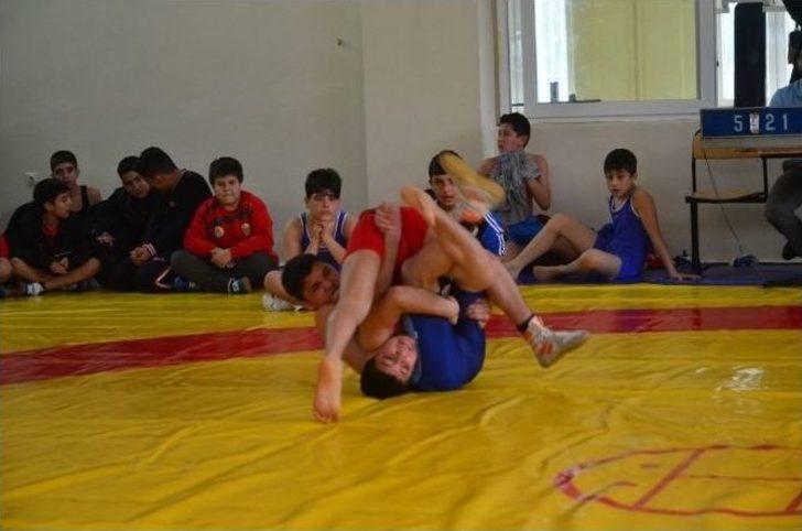Serbest Ve Grekoromen Güreş İl Birinciliği G3