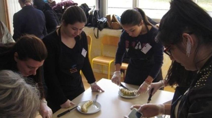 Amasra Mesleki Ve Teknik Anadolu Lisesi Fransa Hareketliliğini Tamamladı