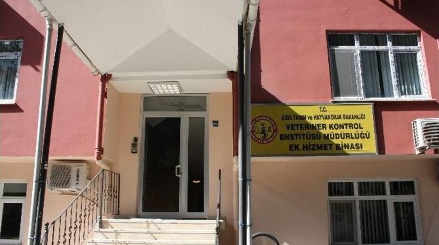 Veteriner Enstit&uuml;s&uuml;nde &lsquo;insan Sağlığı&rsquo;