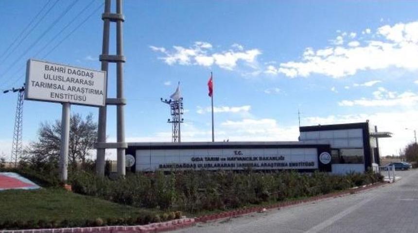 Tarım Arazisine Yapılacak Şehir Hastanesi Mahkemelik Oldu