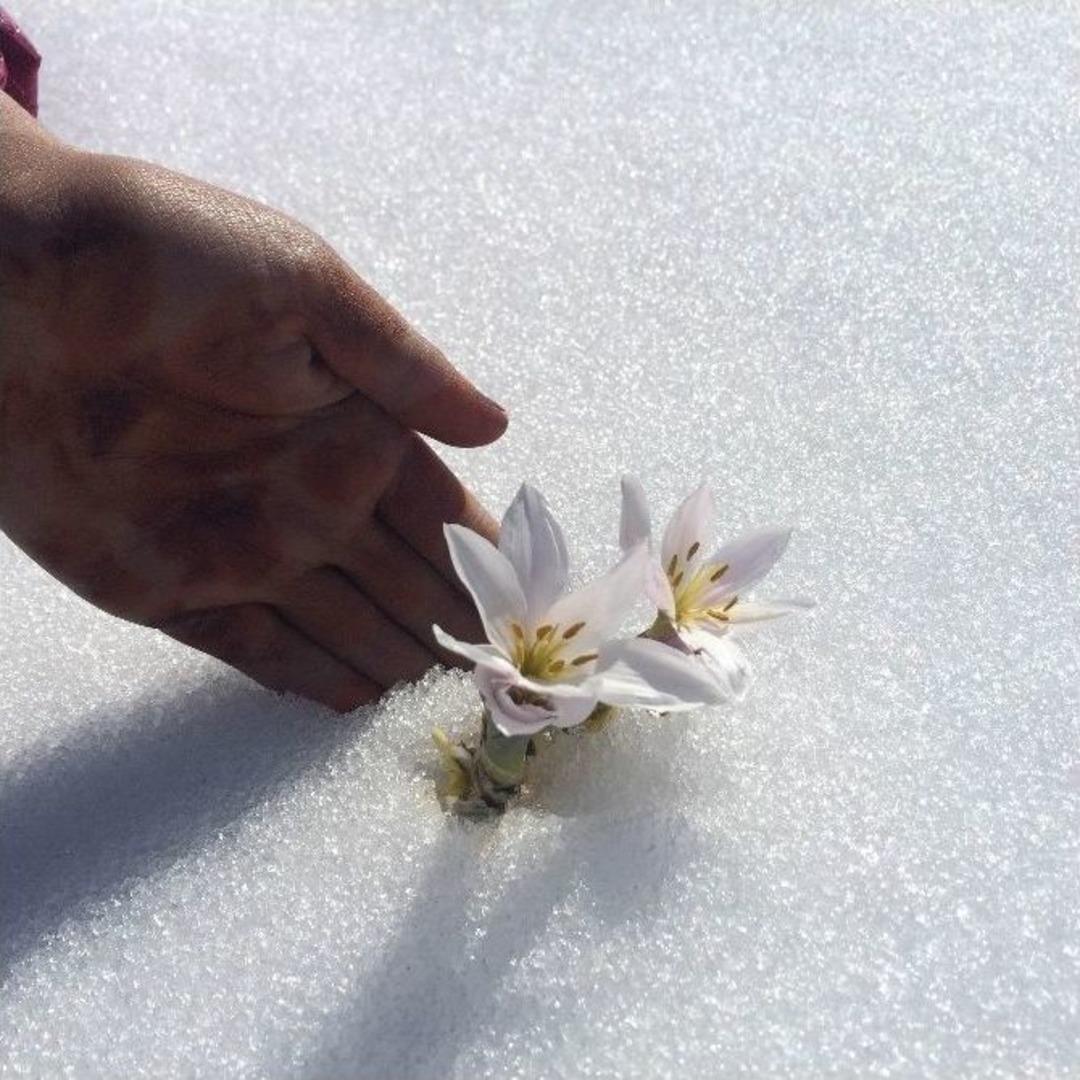 Van&rsquo;a Bahar Erken Geldi