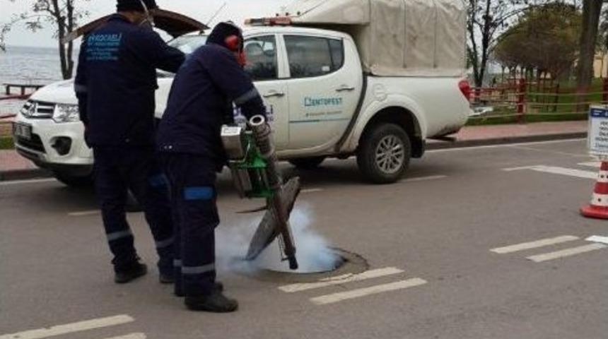 Kış Aylarında 2 Bu&ccedil;uk Milyon Metre Kare Alan İla&ccedil;landı