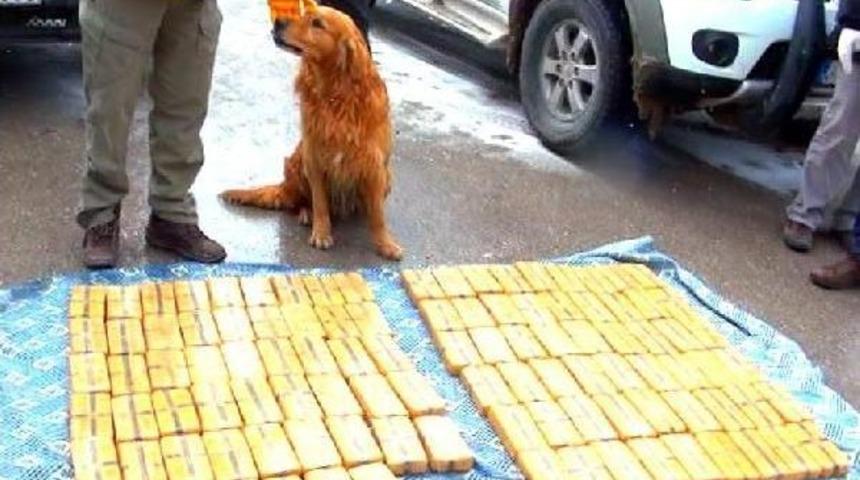 Van'da Uyuşturucu Operasyonu