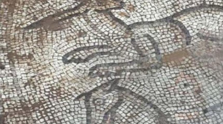 Ağa&ccedil; Dikilirken Bulunan Mozaik Korumaya Alındı