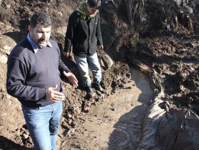 Ağa&ccedil; Dikilirken Bulunan Mozaik Korumaya Alındı 1
