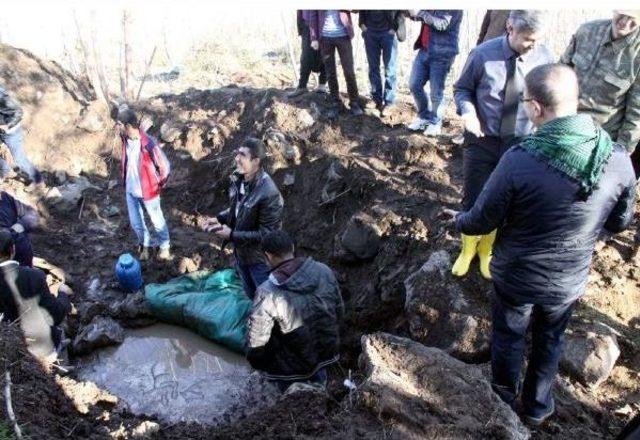 Ağa&ccedil; Dikilirken Bulunan Mozaik Korumaya Alındı 2