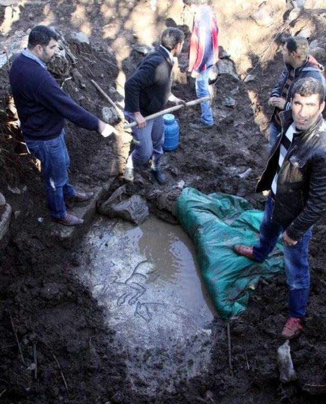 Ağa&ccedil; Dikilirken Bulunan Mozaik Korumaya Alındı 3