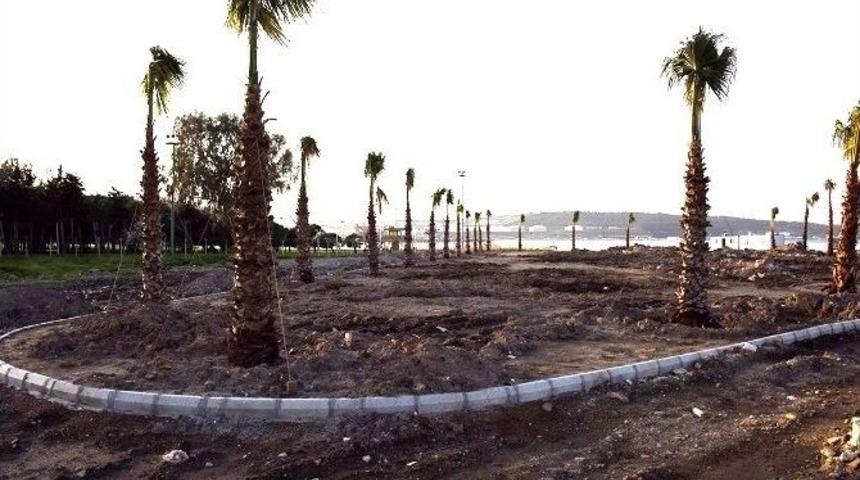 Aliağa Palmiye Ağa&ccedil;ları İle Donatılıyor