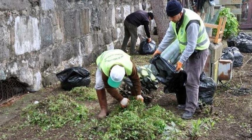 Bodrum&rsquo;da Park Ve Bah&ccedil;eler Sezona Hazırlanıyor