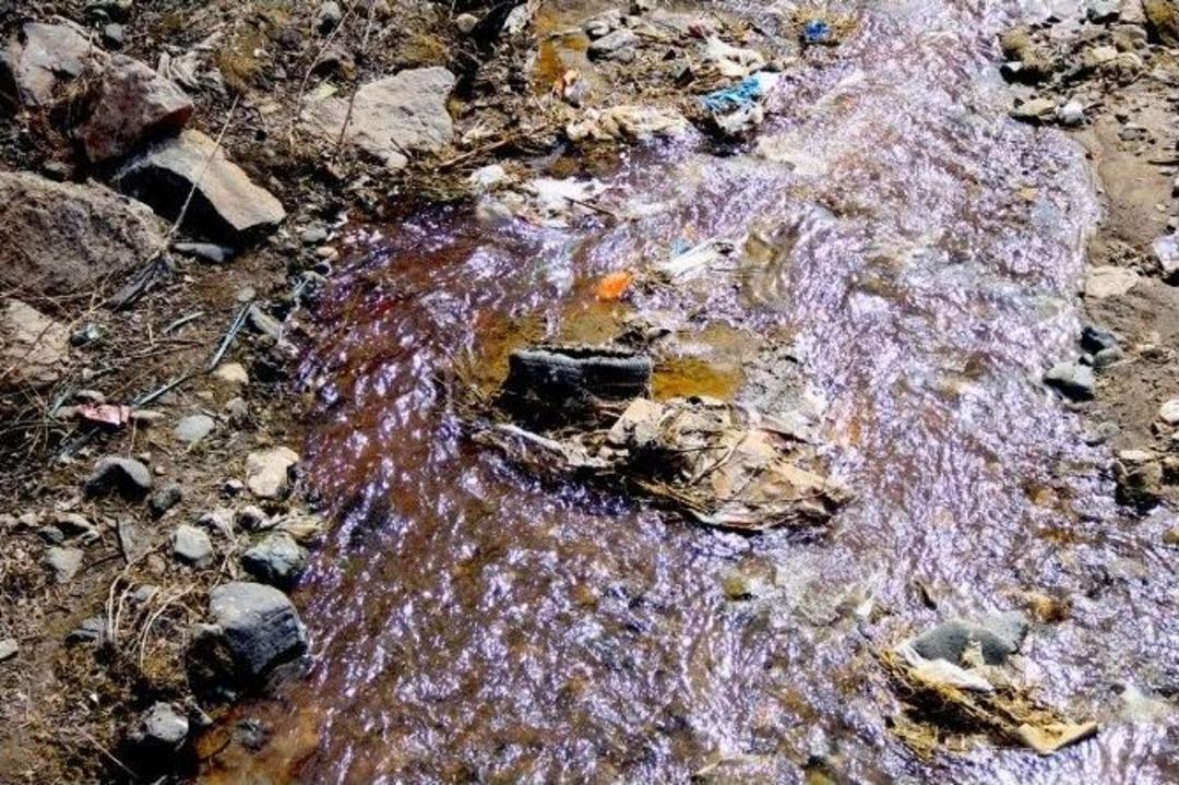 Narman &Ccedil;ayı Kan Akıyor