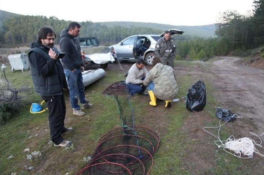 (&ouml;zel Haber) Uşak&rsquo;ta Abant Alası Ana&ccedil; &Uuml;retimi Başarıya Ulaştı