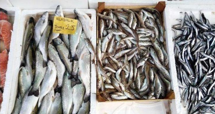 Batı Karadeniz’de Balık Fiyatları El Yakıyor