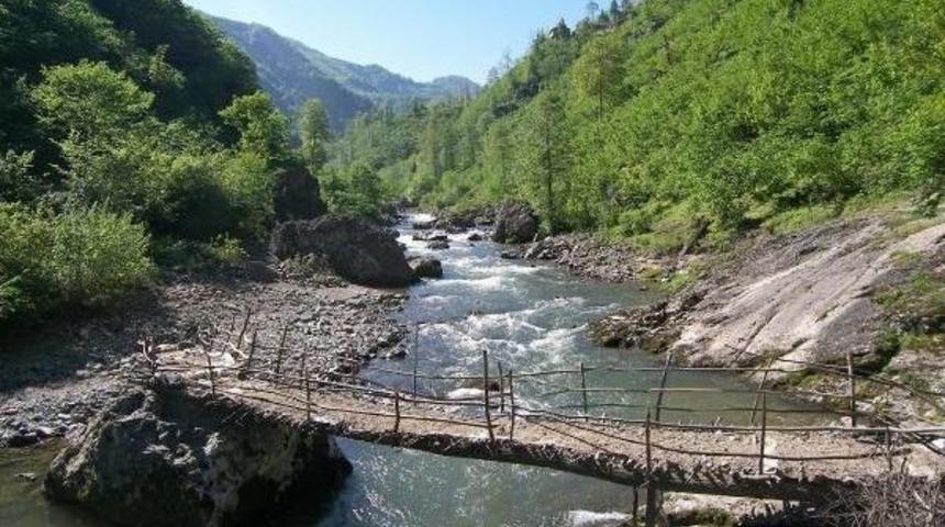 Prof. Dr. Karadeniz: T&uuml;nel Tipi Hes Yerine G&ouml;letli, Havuzlu Barajlar Yapılmalı