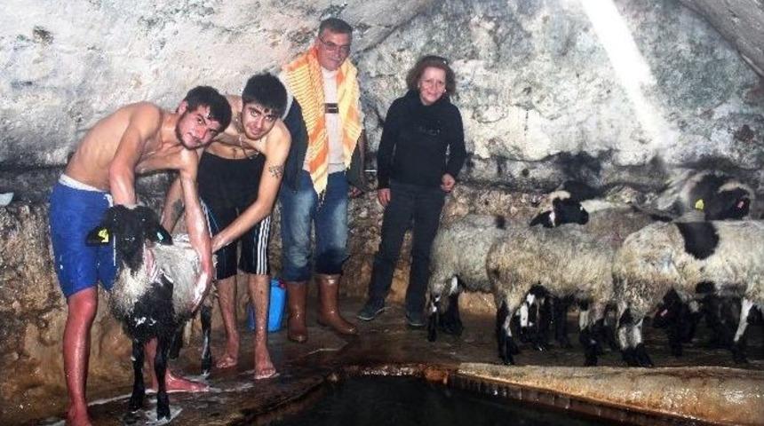 Kuzulara &lsquo;gelin Hamamı&rsquo;