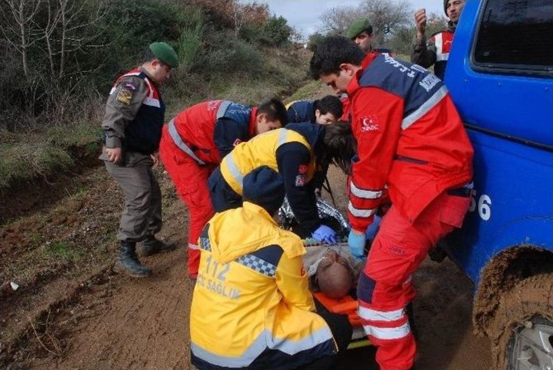 Hayata D&ouml;nd&uuml;ren M&uuml;dahale