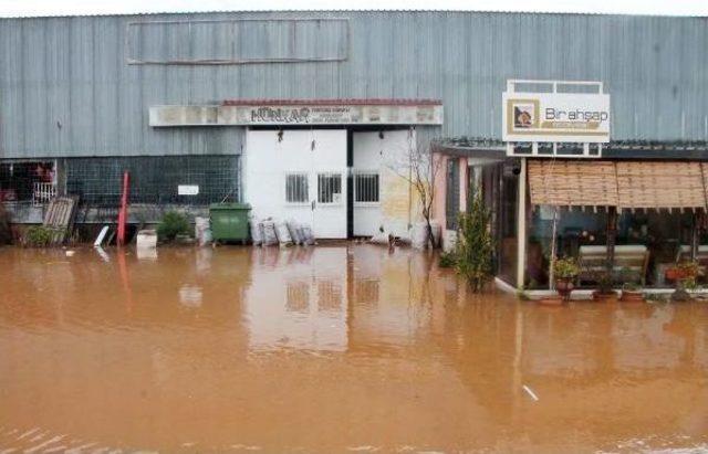 Fethiye'de Ev, Işyeri Ve Seraları Su Bastı