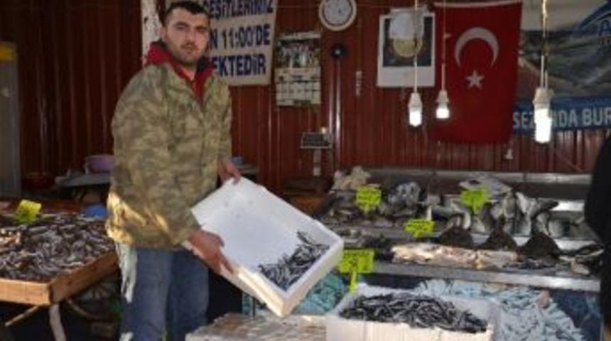 Fatsa&rsquo;da Hamsi 8 Lira