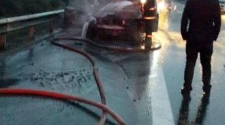 Alev Alev Yanan Cip K&uuml;l Oldu