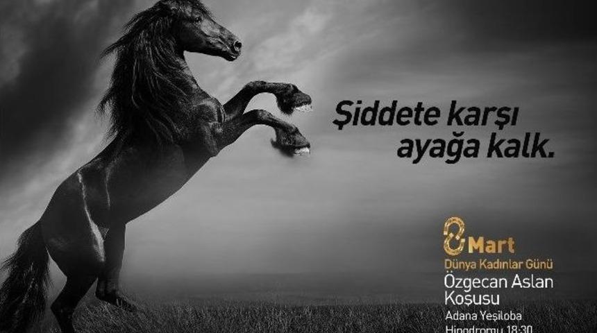 Atlar, &Ouml;zgecan İ&ccedil;in Koşacak