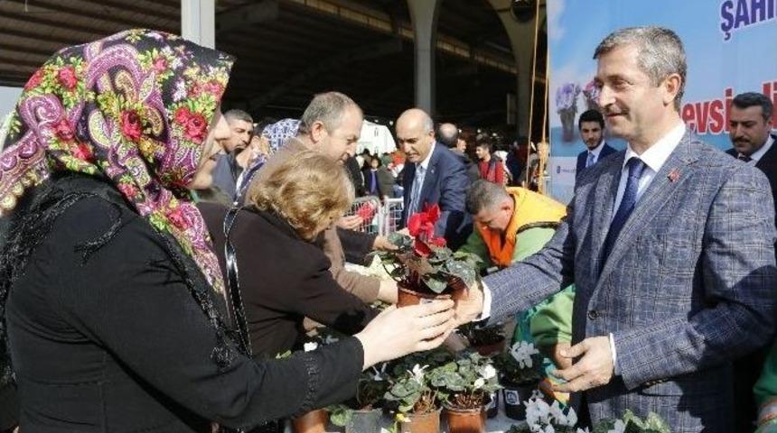 Gaziantep&rsquo;te 80 Bin &Ccedil;i&ccedil;ek Dağıtıldı