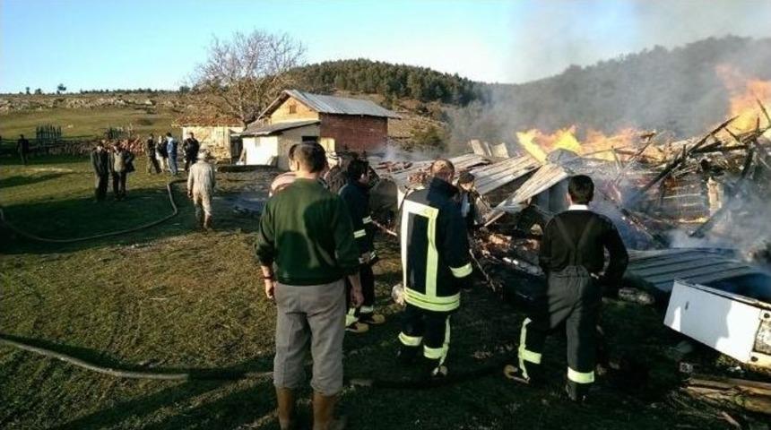 Ara&ccedil;&rsquo;ta Yangın