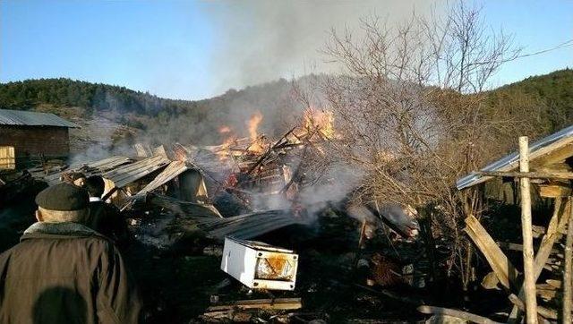 Ara&ccedil;&rsquo;ta Yangın 2