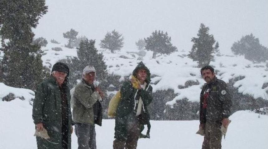 Silifke&rsquo;de Doğaya 350 Kilo Yem Bırakıldı