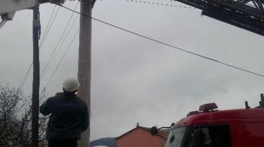 Leylekler İ&ccedil;in &Ouml;zel Yuva