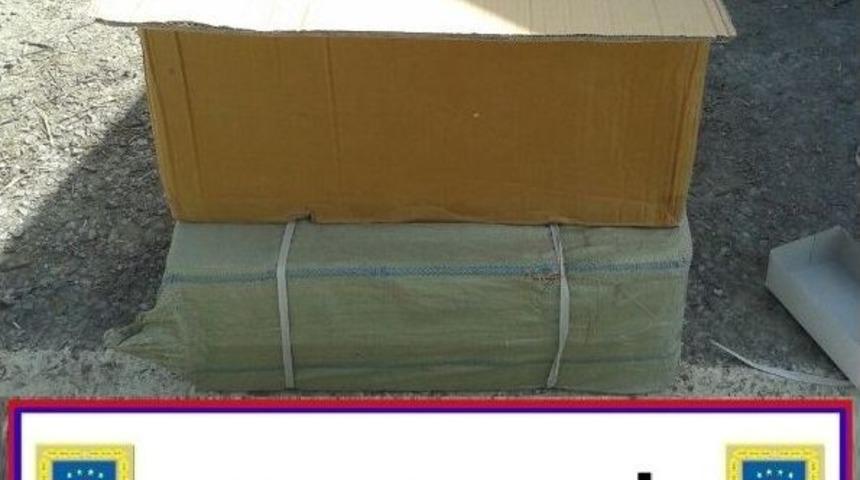 Hakkari&rsquo;de G&uuml;mr&uuml;k Ka&ccedil;ağı G&uuml;neş G&ouml;zl&uuml;ğ&uuml; Ele Ge&ccedil;irildi