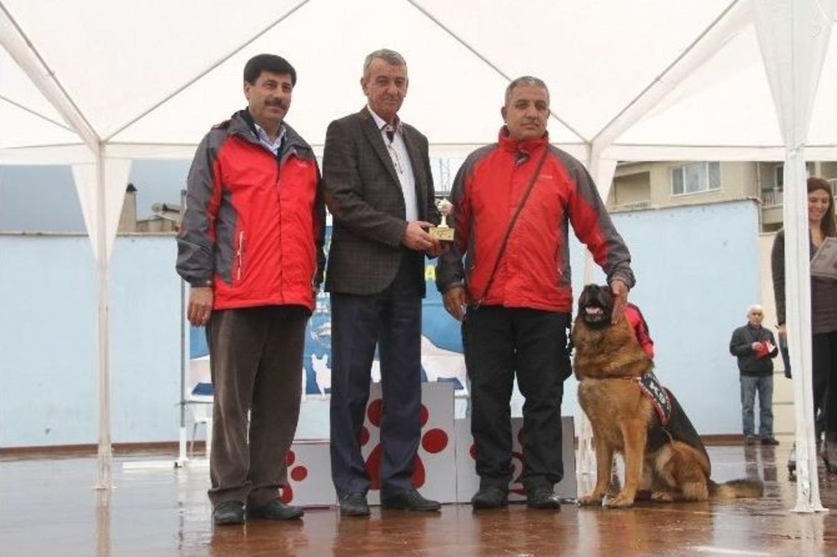 Can Dostların &lsquo;hayat Kurtarma&rsquo; Sınavı