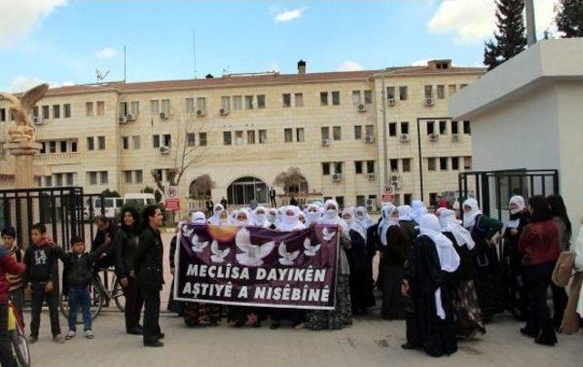 Nusaybin de Kadınlar, İç Güvenlik Paketi ni Protesto Etti 1