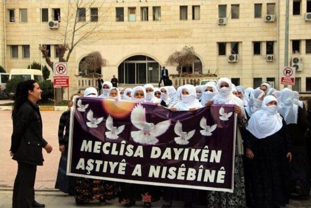 Nusaybin de Kadınlar, İç Güvenlik Paketi ni Protesto Etti 2