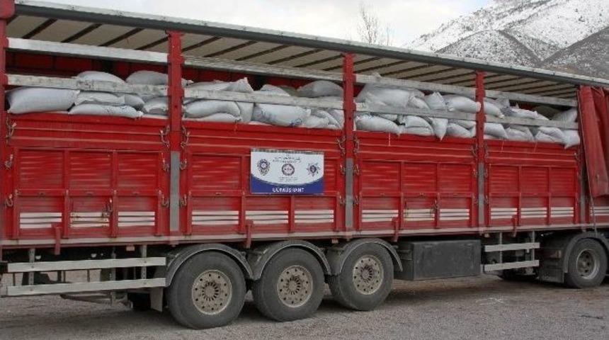 G&uuml;m&uuml;şhane&rsquo;de 20 Ton Ka&ccedil;ak &Ccedil;ay Ele Ge&ccedil;irildi