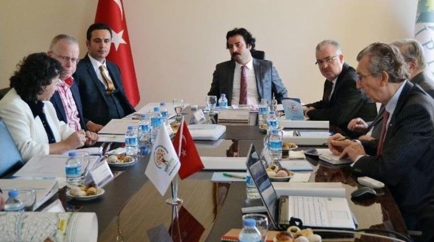 Aıph Başkan Yardımcısı Oosterom, Expo 2016 Alanında İncelemelerde Bulundu