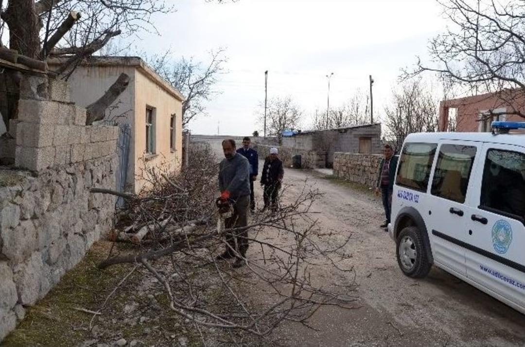 Belediye Ekipleri Van G&ouml;l&uuml; Sahilini Temizledi